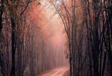 巅峰国际官网：海南省青少年高尔夫球巡回赛（美兰站）收杆.