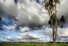 巅峰国际官网：伊万下课呼声再起，足协为何按兵不动？.