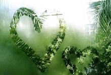 巅峰国际官网：追光丨高一学生去比世锦赛，身旁对手竟是妈妈的“熟人”？.