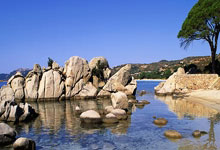 巅峰国际官网：37岁前法国国脚加梅罗宣布退役，曾效力过马竞、塞维利亚等队.